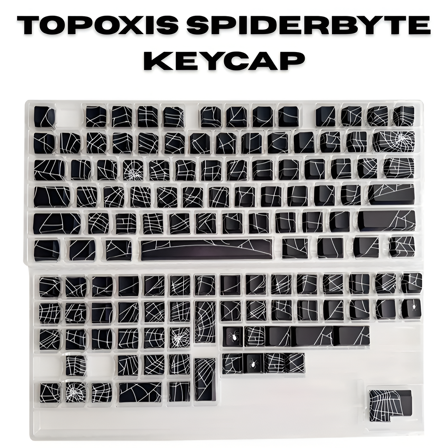 TOPOXIS KEYCAP SPIDERBYTE